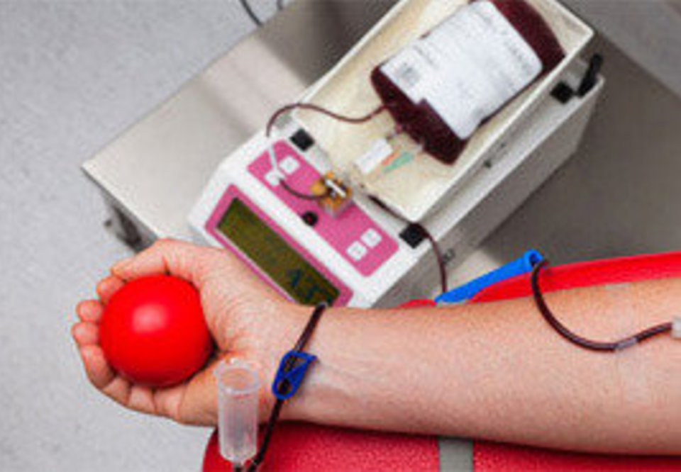 Main 2504 doacao sangue hemominas
